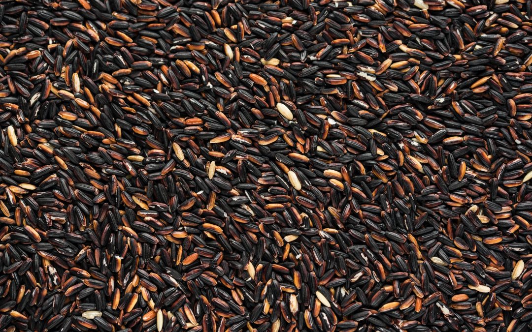 Diferentes Tipos de Arroz
